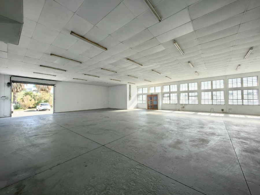 To Let commercial Property for Rent in University Estate Western Cape